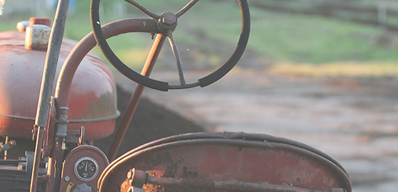 Società Agricola Bulleri - La Storia